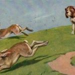 Politicienii romani alearga dupa doi iepuri. O vanatoare de mare risc pentru tara!