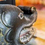 Când raţiunea este orbită de instinct. Răul a fost făcut! Editoriale