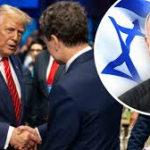 De la extern la intern. Să nu ne plictisim! Editoriale